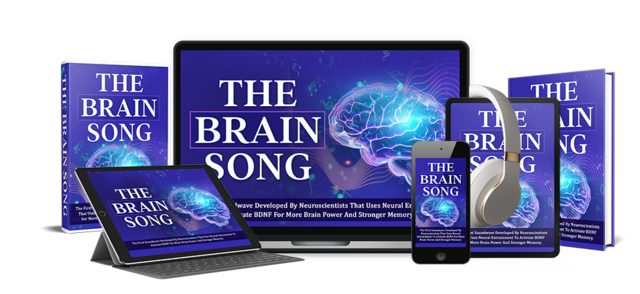 The Brain Song digital audio program